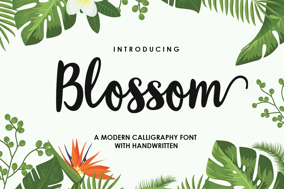 Blossom Script Font: A Modern Script Typeface for Handmade Creators