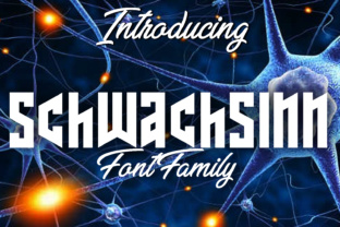 Schwachsinn Font for Bold, Memorable Branding