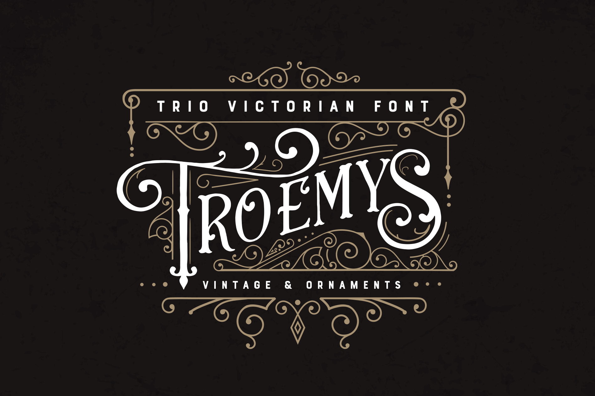 Troemys Font Trio: A Vintage Display Typeface for Editorial Elegance